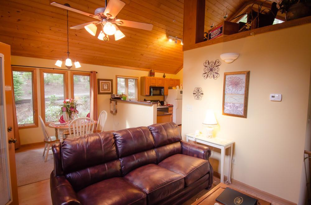 Asheville Cabins Of Willow Winds エクステリア 写真
